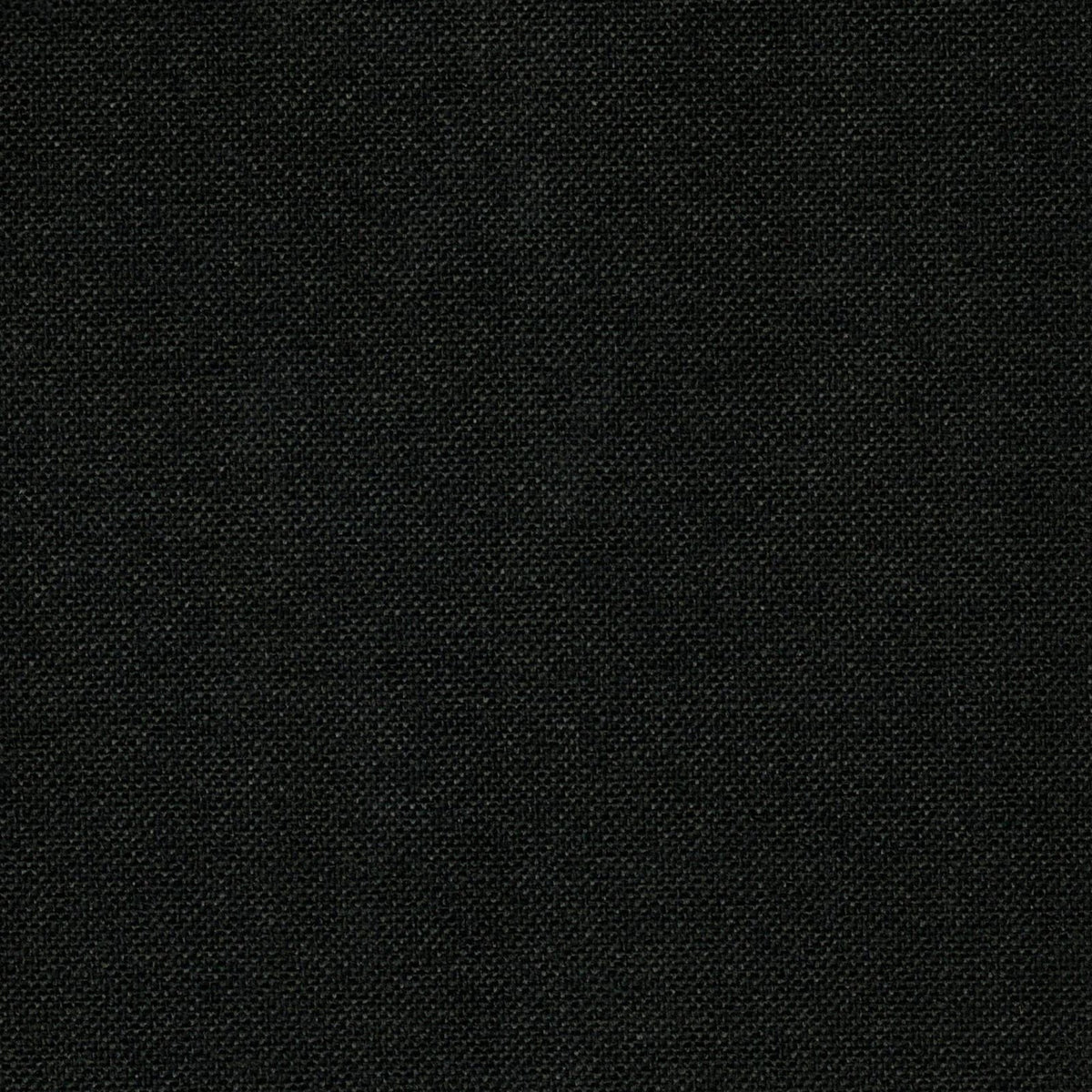 Cortina Blackout Aisha Black
