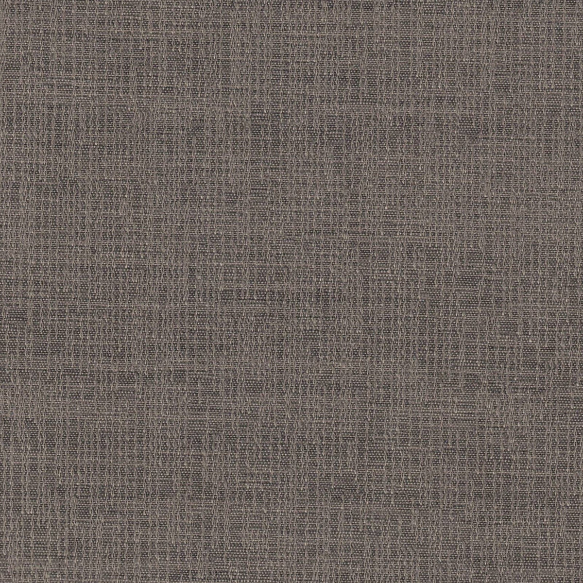Cortina Blackout Mizuki Coffee